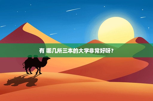 有 哪几所三本的大学非常好呀？
