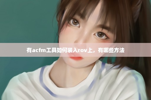 有acfm工具如何装入rov上，有哪些方法