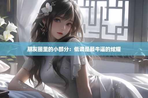 朋友圈里的小部分：低调是最牛逼的炫耀