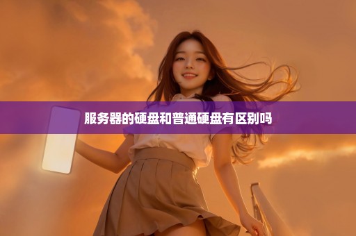 服务器的硬盘和普通硬盘有区别吗