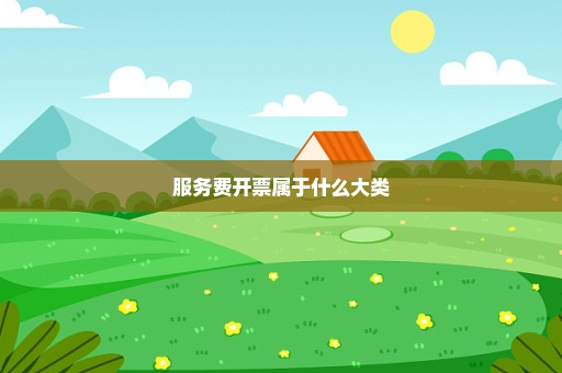 服务费开票属于什么大类