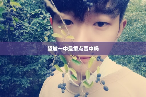 望城一中是重点高中吗