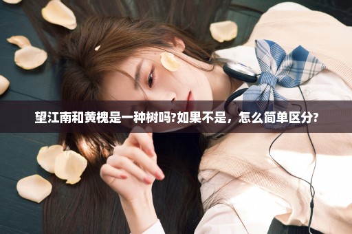 望江南和黄槐是一种树吗?如果不是，怎么简单区分?