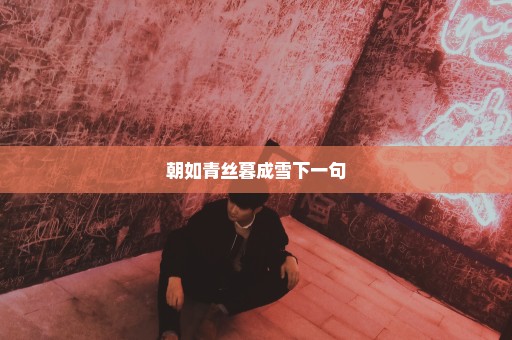 朝如青丝暮成雪下一句