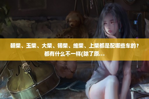 朝柴、玉柴、大柴、锡柴、维柴、上柴都是配哪些车的？都有什么不一样(除了原…