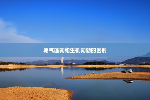 朝气蓬勃和生机勃勃的区别