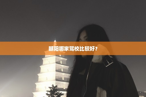 朝阳哪家驾校比较好？