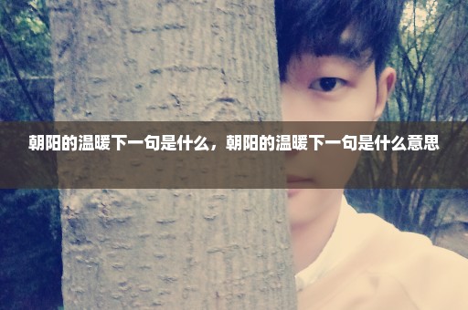 朝阳的温暖下一句是什么，朝阳的温暖下一句是什么意思 