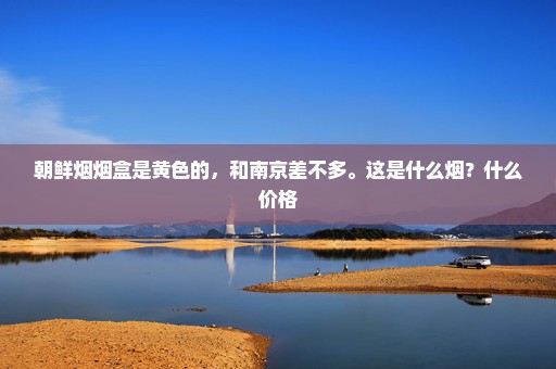 朝鲜烟烟盒是黄色的，和南京差不多。这是什么烟？什么价格
