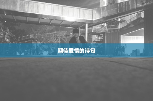 期待爱情的诗句