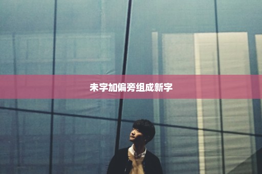 未字加偏旁组成新字