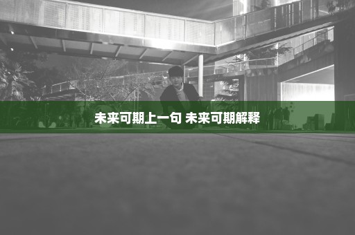 未来可期上一句 未来可期解释