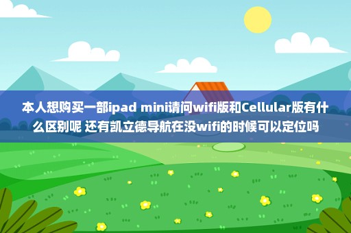 本人想购买一部ipad mini请问wifi版和Cellular版有什么区别呢 还有凯立德导航在没wifi的时候可以定位吗