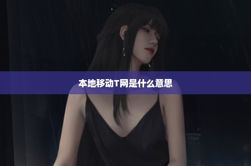 本地移动T网是什么意思