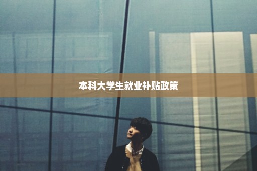 本科大学生就业补贴政策