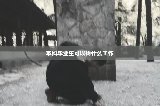本科毕业生可以找什么工作