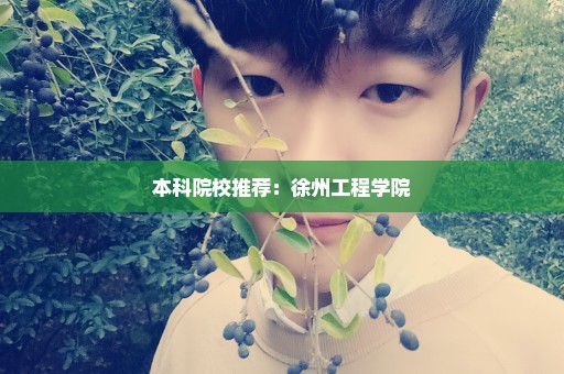 本科院校推荐：徐州工程学院