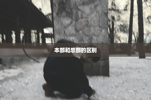 本部和总部的区别