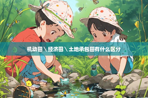 机动田＼经济田＼土地承包田有什么区分