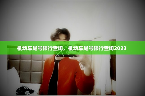 机动车尾号限行查询，机动车尾号限行查询2023 