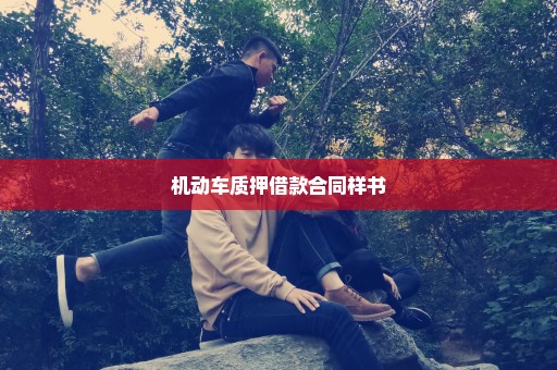 机动车质押借款合同样书