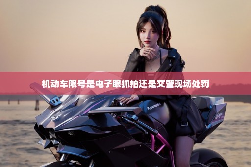 机动车限号是电子眼抓拍还是交警现场处罚