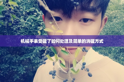 机械手表受磁了如何处理及简单的消磁方式
