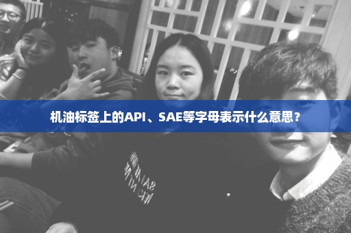 机油标签上的API、SAE等字母表示什么意思？