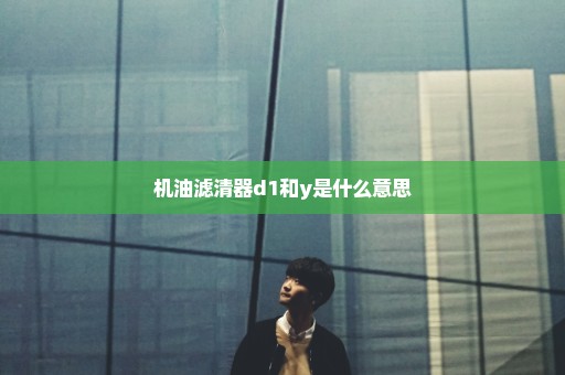 机油滤清器d1和y是什么意思
