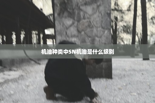 机油种类中SN机油是什么级别