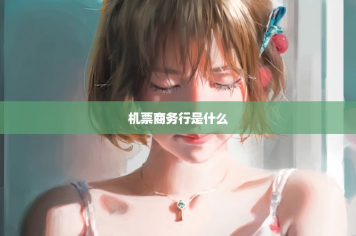 机票商务行是什么