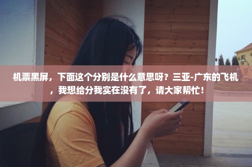 机票黑屏，下面这个分别是什么意思呀？三亚-广东的飞机，我想给分我实在没有了，请大家帮忙！
