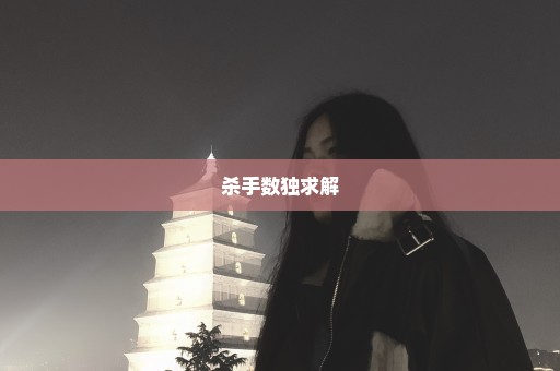 杀手数独求解