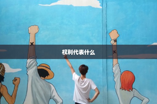 权利代表什么
