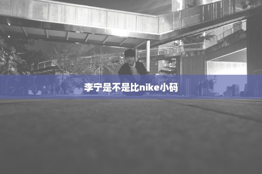 李宁是不是比nike小码