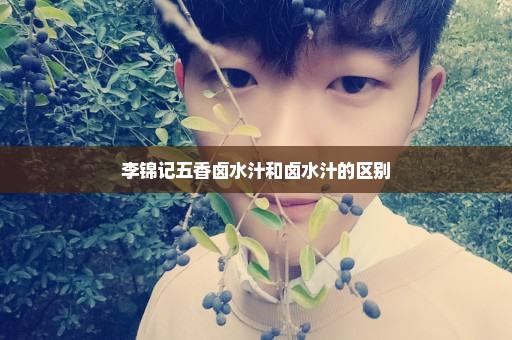 李锦记五香卤水汁和卤水汁的区别