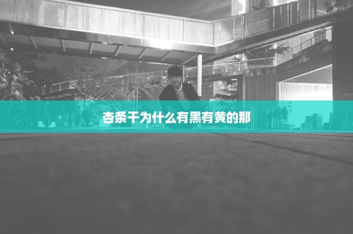 杏条干为什么有黑有黄的那