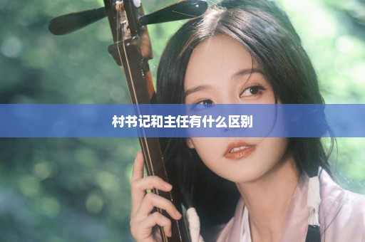村书记和主任有什么区别