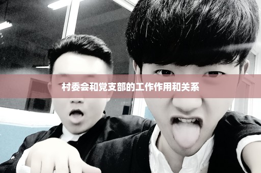 村委会和党支部的工作作用和关系