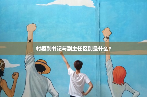 村委副书记与副主任区别是什么？