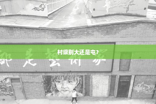 村级别大还是屯？