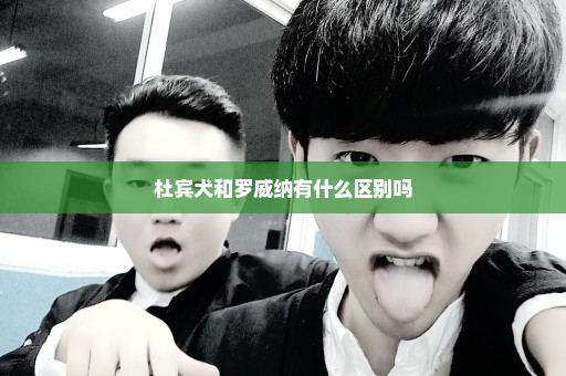 杜宾犬和罗威纳有什么区别吗