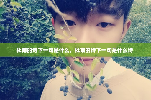 杜甫的诗下一句是什么，杜甫的诗下一句是什么诗 