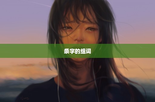 条字的组词