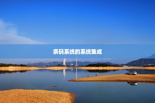 条码系统的系统集成