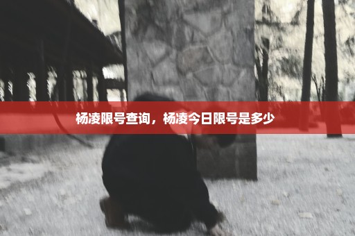 杨凌限号查询，杨凌今日限号是多少 