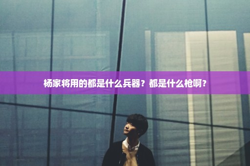 杨家将用的都是什么兵器？都是什么枪啊？