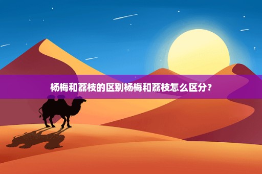 杨梅和荔枝的区别杨梅和荔枝怎么区分？