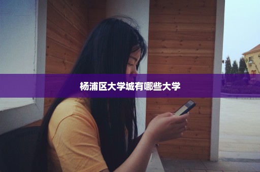 杨浦区大学城有哪些大学