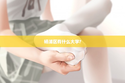 杨浦区有什么大学?